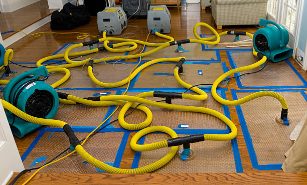 Professional Water Damage Repair technician working in Harpersville, AL