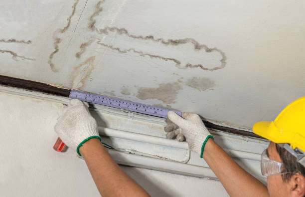 Affordable Water Damage Repair solutions in Harpersville, AL